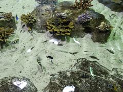 -郑州海洋馆