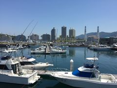 -黑潮市场