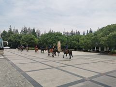 -上海长兴岛郊野公园