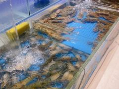 -加餐海鲜自助(宝龙一城店)
