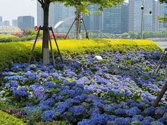 -上海港国际客运中心