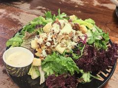 -Tubestation站点比萨(五道营店)