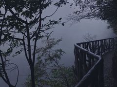 -张家界天门山国家森林公园
