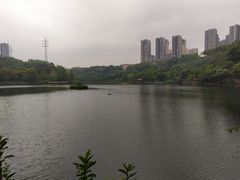 -重庆彩云湖湿地公园
