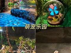 -厦门老院子景区