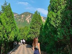 -禅宗少林·音乐大典