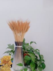 点击看大图 -玛尼瑜伽·普拉提