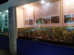 -上海昆虫博物馆