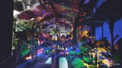 -恐龙探索乐园(磁器口店)