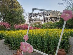 -圩墩遗址公园