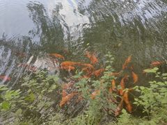 -五泄景区
