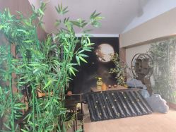 -水晶BABY儿童摄影(世界公园店)