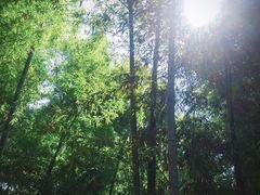 -张公山寨景区