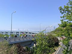 -星海湾跨海大桥