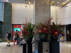 -新加坡乌节希尔顿酒店 (SG Clean)