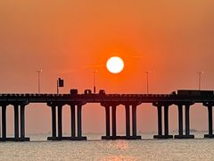 -宝安西湾红树林湿地公园