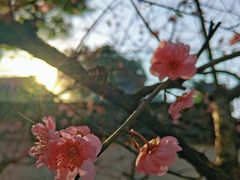 -钱王祠