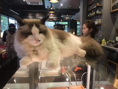 -咖法森林·咖啡  酒吧(天河店)