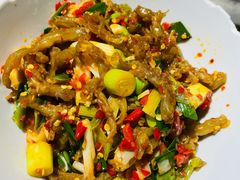 鸭掌筋-壹盏灯(蚂蚁工房店)