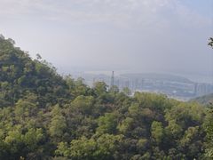 -大雁山风景区