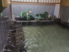 -汤泉良子.足疗按摩.SPA(中关村店)