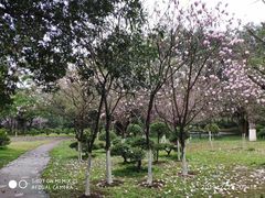 -雀儿山公园