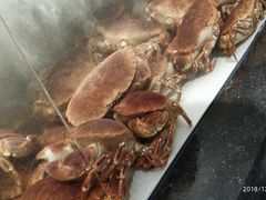 -超级物种·波龙工坊(国贸店)