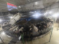 -君乐宝优致牧场