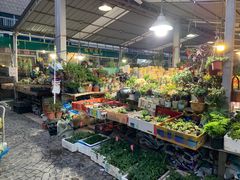 -曲阳花鸟市场(曲阳路店)