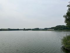 -大兴滨河森林公园