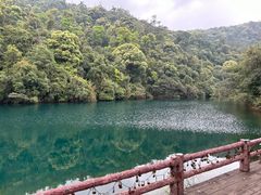 -鼎湖山风景区