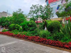 -南屏步行街