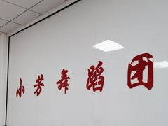 -小芳舞蹈团·少儿舞蹈·中国舞(龙江校区)
