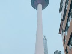 -辽宁电视塔
