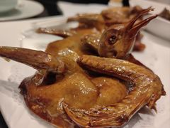金牌第一鸽-泰山廊亦舫(丽景店)