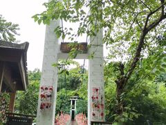-西双版纳原始森林公园