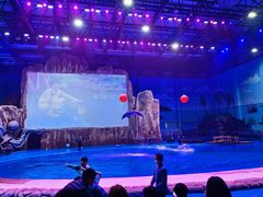 -华夏文旅海洋公园