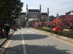 -志龙皇冠吃货椰子铺