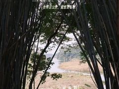 -佛山市三水区大南山森林公园