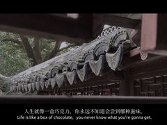 -上海醉白池公园