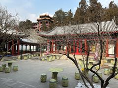 -宫事颐庭·老佛爷贵寿下午茶(颐和园店)