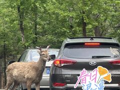 -秦皇岛野生动物园