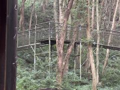 -富春桃源风景区
