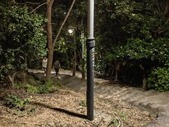 -风云岭森林公园