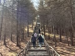 -红崖峡谷景区