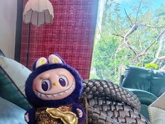 -森居forest休闲咖啡聚集地