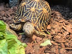 -上海海洋水族馆