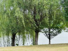 -盘龙城国家考古遗址公园