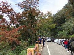 -广州市石门国家森林公园