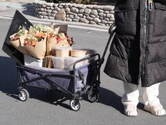 -辛庄国际文化艺术区